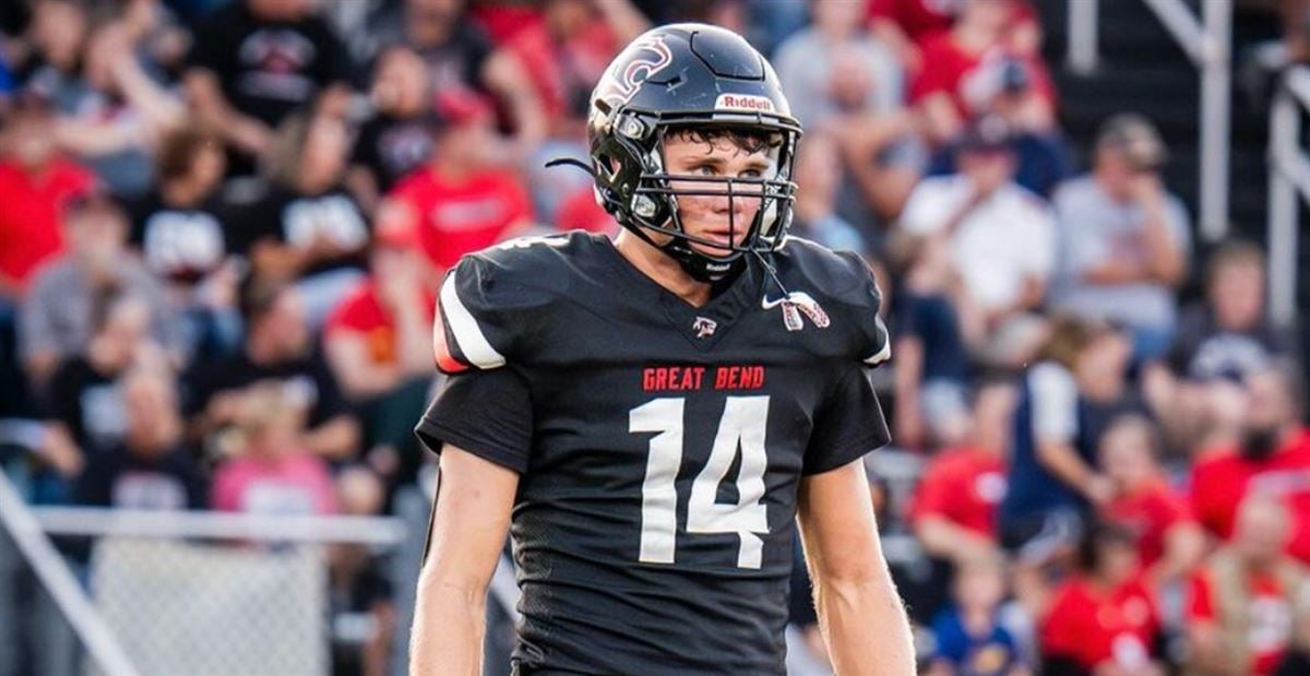 会正式进入 会正式进入